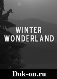 Зимняя страна чудес  Winter Wonderland