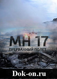 Рейс MH-17: Прерванный полет